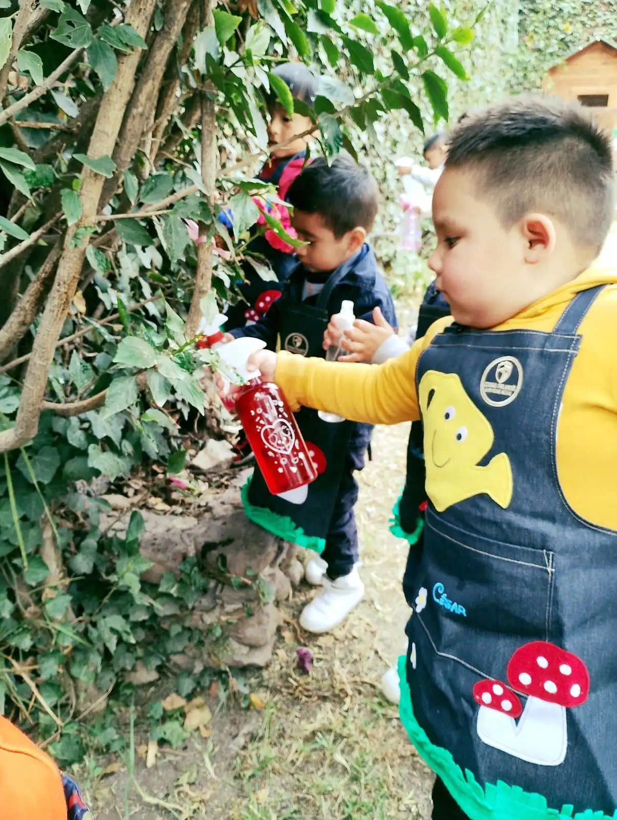 Sesión de tutoría individualizada en el Colegio Finlandés Tepotzotlán
